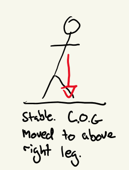 Stable over right leg